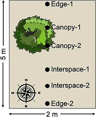 Resistance, Resilience, and Recovery of Dryland Soil Bacterial Communities Across Multiple Disturbances